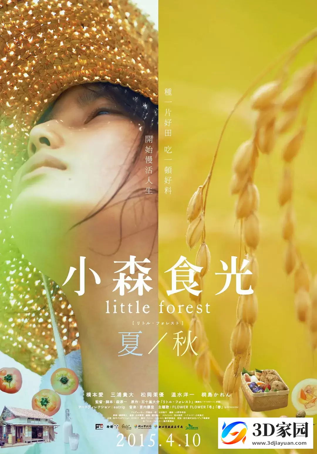 3D电影《小森林.夏秋篇3D》高分剧情3D电影 分屏治愈电影 网盘下载-3D家园